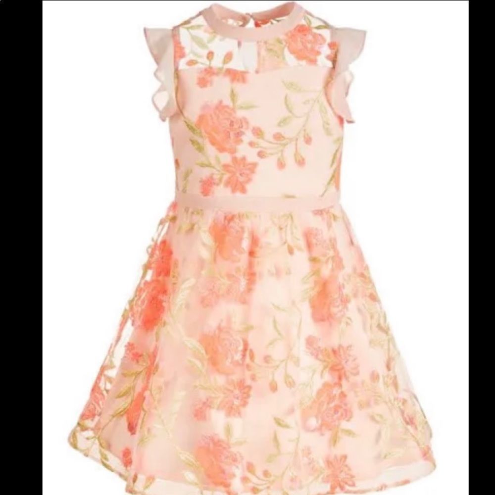 Sequin Hearts Big Girls Embroidered Illusion Dress - Blush